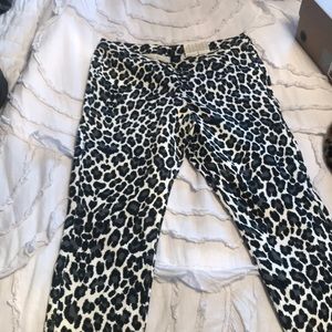 Brand new HUE jeggings